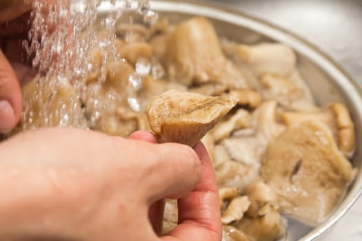 Mushrooms are washed out by water 