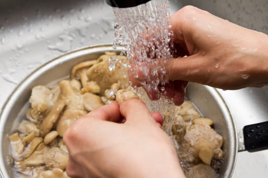 Mushrooms are washed out by water 