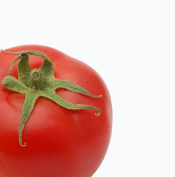 pic of tomato