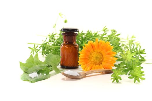 Homeopathy with globules, an apothecary jar, natural herbs and marigolds