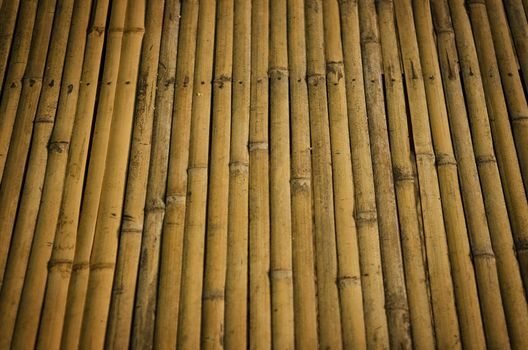 detail of bamboo surface