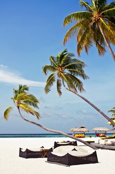 Landscape photo of Coconut trees and couches on white sand beach with blue sky
