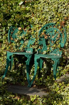 A pair of green painted metal chairs on a slate step with overgrown ivy.