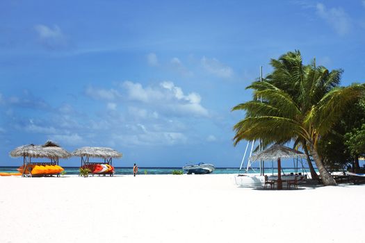 Landscape photo of Coconut trees and couches on white sand beach with blue sky