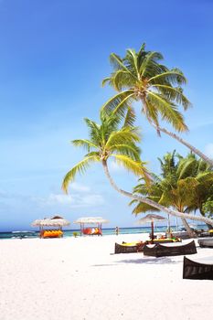 Landscape photo of Coconut trees and couches on white sand beach with blue sky