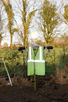 erect scarecrow in a rural setting protecting a field from birds