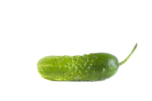 Green cucumber isolated on white background. Healthy natural vegetable diet nutrition.