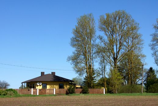 The house and tree on a background of the blue sky