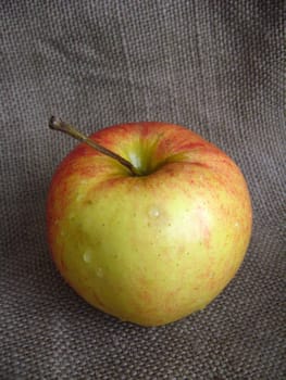 four nice apples on the plate, on the brown background