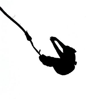 Black silhouette of bungee jumper isolated on white background