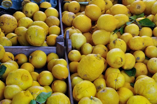 Fresh lemons in wooden crates at grocery store.