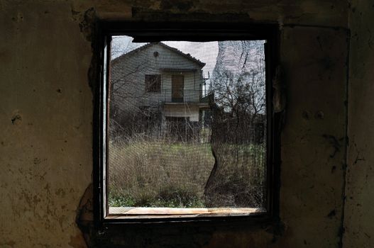 Threaded window with view to overgrown gardens of a deserted neighbourhood.