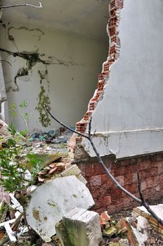 Plants growing through the broken wall of a ruined house.