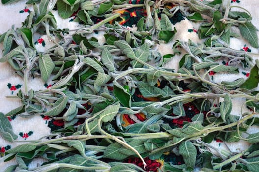 Fresh organic sage plant leaves left to dry on a towel.