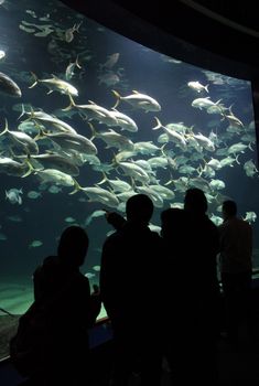 Aquarium with silhouettes of people