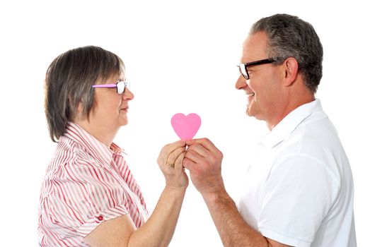 Portrait of a aged beautiful couple holding paper heart and smiling at each other