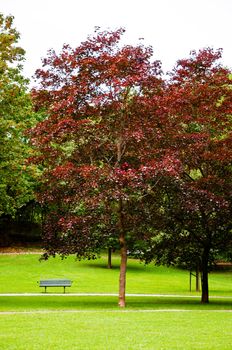 Park in the early autumn Stockholm Sweden