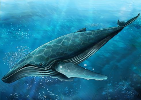 ongoing style of undersea life