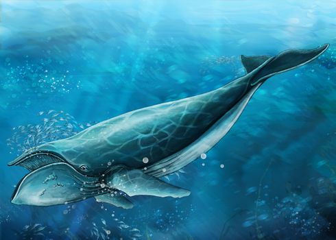 ongoing style of undersea life