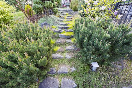 Garden Natural Granite Stone Steps Leading to Yard with Trees and Shrubs