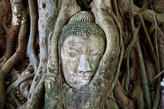 Head of Sandstone Buddha at Ayutthaya.Thailand.