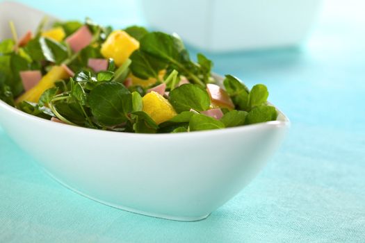 Fresh watercress, pineapple and ham salad in elongate white bowl (Selective Focus, Focus on the pineapple piece in the front)