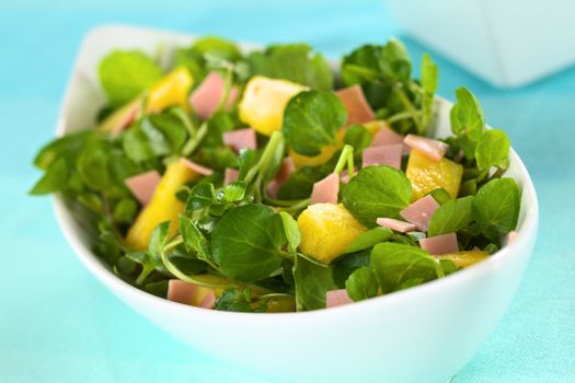 Fresh watercress, pineapple and ham salad in elongate white bowl (Selective Focus, Focus on the pineapple piece in the front)