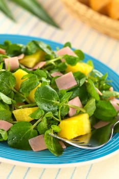 Fresh watercress, pineapple and ham salad on blue plate with a fork (Selective Focus, Focus on the pineapple pieces in the front)