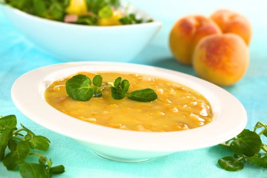 Refreshing cold peach soup in soup plate garnished with watercress (Selective Focus, Focus on the left watercress leaves on the soup)