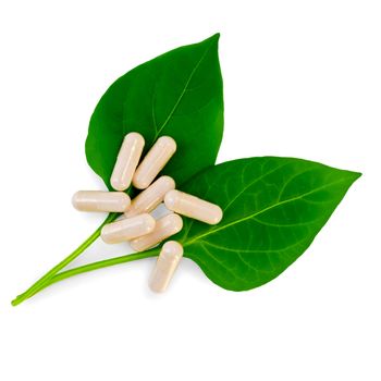 A few capsules on the two green leaves isolated on white background