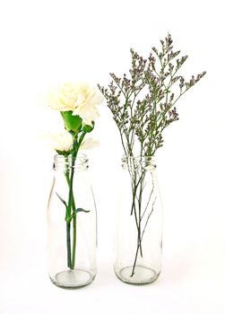 flowers in a bottle on white background