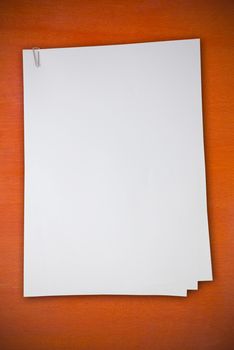 Blank white paper on wood wall as background