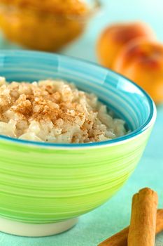 Fresh homemade rice pudding with cinnamon on top in colorful bowl with peach compote in the back (Selective Focus, Focus one third into the rice pudding) 