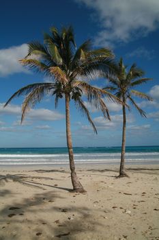 a beautiful tropical island scene in Cuba