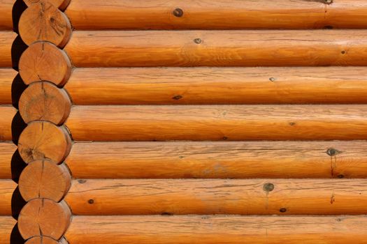 Wall made by wooden logs shot in a warm sunlight. 