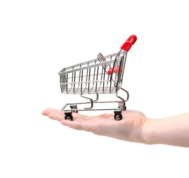Shopping Cart on Hand on white background
