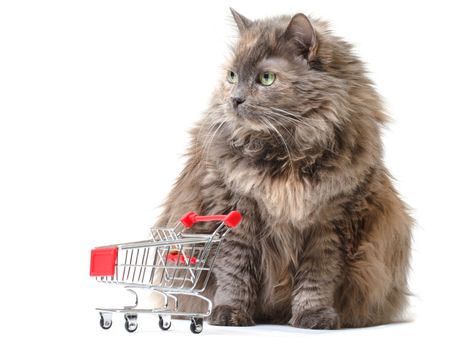 Cat with Shopping Cart on white background