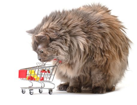 Cat with Shopping Cart on white background