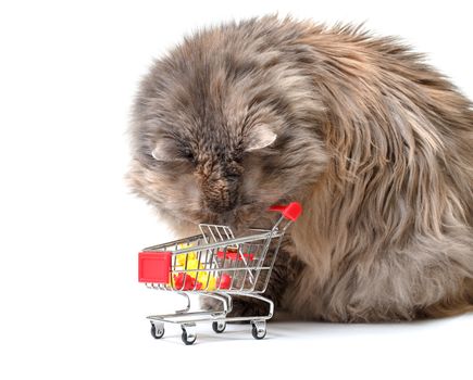 Cat with Shopping Cart on white background