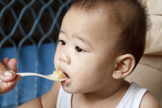 Mother feeding hungry baby in highchair