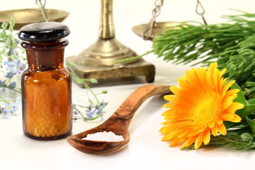 fresh medicinal herbs and globules on a light background