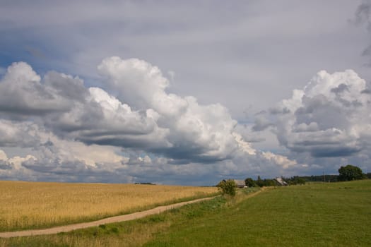 summer land sky horizon