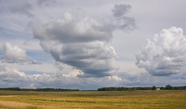 summer land sky horizon