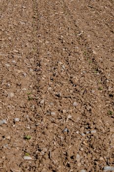 Closeup on ploughed field in early spring waiting for crops to grow