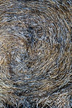 Close-up of a pile or stack of hay
