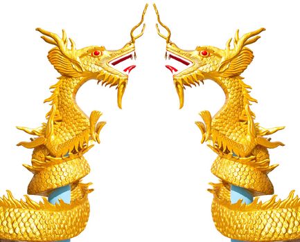 Two golden dragon on white background