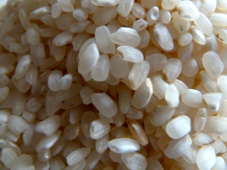 uncooked white paella rice