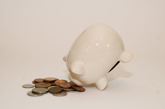 China/ ceramic piggy money box with it's snout  next to a pile of coins against white background with copy space
