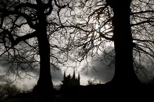 Gothic landscape with silouettes of bare trees and church spires against a dark stormy sky.