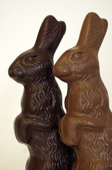 Pair of chocolate easter bunnies (one dark, one milk) 'spooning'/ hugging, against a white background.